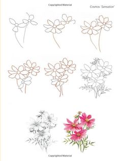 236x318 How To Draw A Lily Step By Step Drawing Tutorials With Pictures - Flower Sketch Step By Step