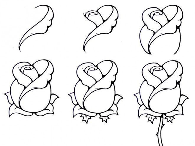 660x495 Flower Drawing Step By Step Drawing Drawing Step - Flower Sketch Step By Step