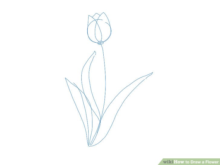 728x546 9 Easy Ways To Draw A Flower - Flower Sketch Step By Step