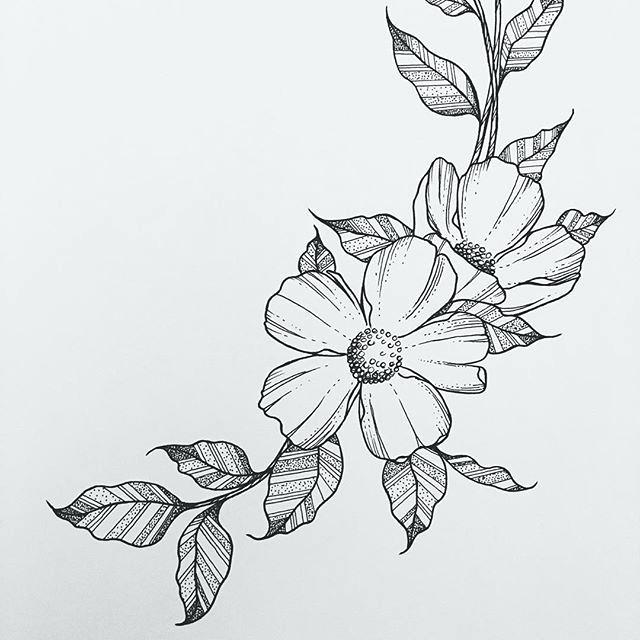 Easy Flower Sketch Burge Bjgmc Tb Org