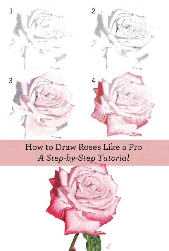 Flower Sketch Tutorial At Paintingvalley Com Explore Collection