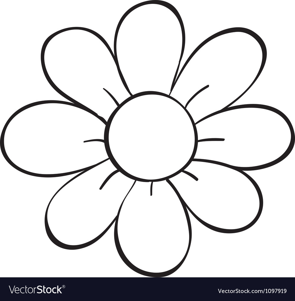 1000x1017 Flower Sketch Images A Flower Sketch Royalty Free Vector Image - Flower Sketch Vector