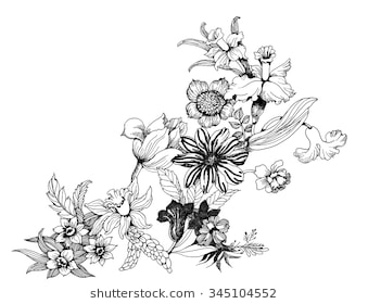 339x280 Gallery Flower Sketch Images, - Flower Sketch Vector