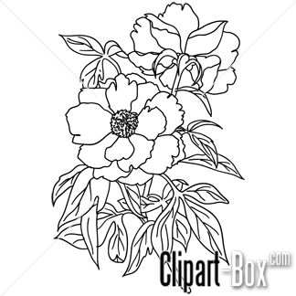 324x324 Sketch Clipart Flower Design - Flower Sketch Vector