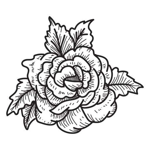 512x512 Collection Of Free Sketch Vector Flower. Download On Ubisafe - Flower Sketch Vector