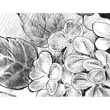 360x360 China Gris Blackampwhite Sketching Bedroom Wallpaper Design Floral - Flower Sketch Wallpaper
