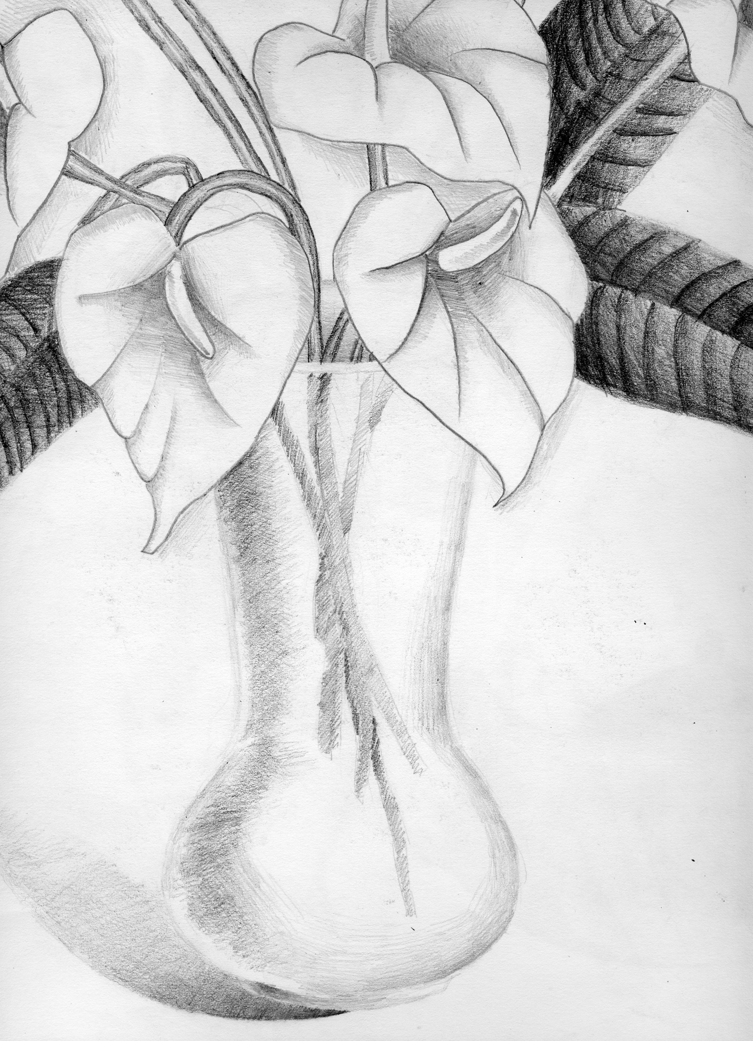 2496x3450 Pencil Sketches Of Flowers In Vase Pencil Sketch Of Flower Vase - Flower Vase Sketch