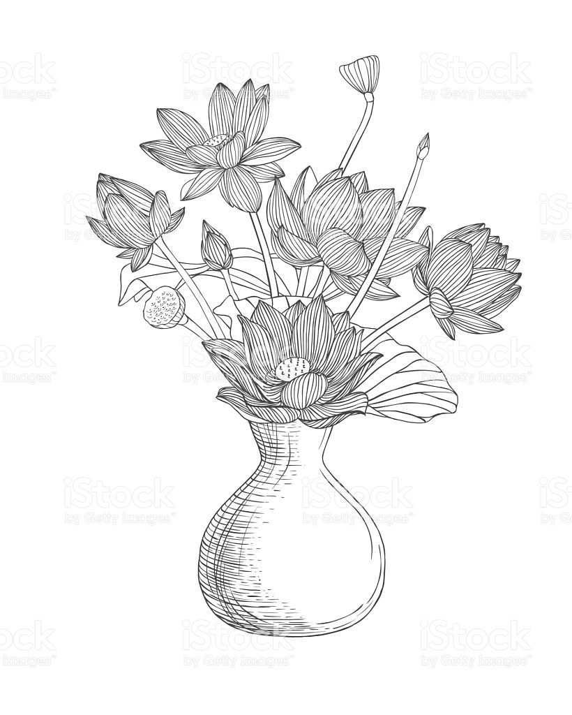 820x1024 Sketch Of Flower Vase Lotus Flower Vase Drawing - Flower Vase Sketch