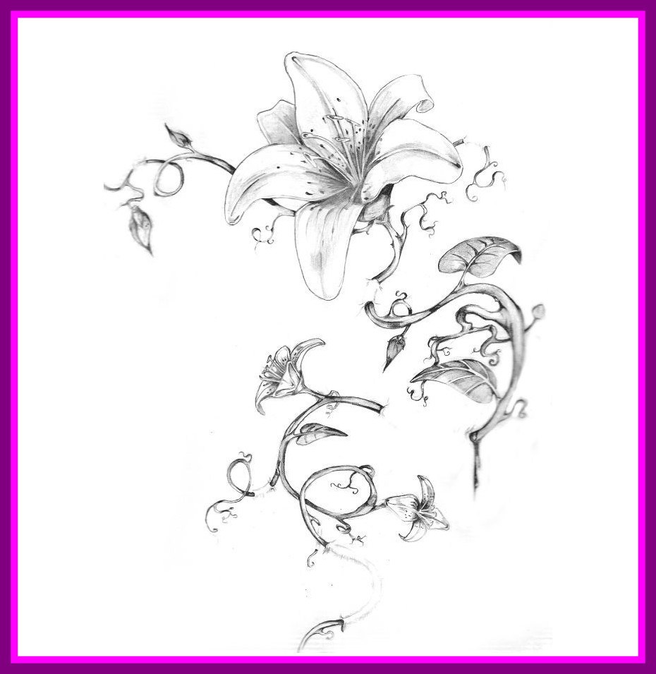 Flower Vine Sketch At Paintingvalley.com 