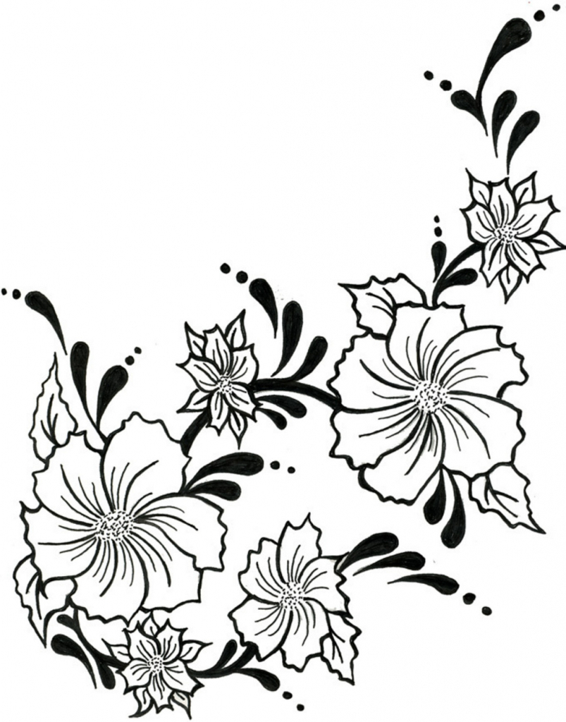 803x1024 Simple Flower And Vine Sketch Easy Pencil Drawings Of Flowers And - Flower Vine Sketch