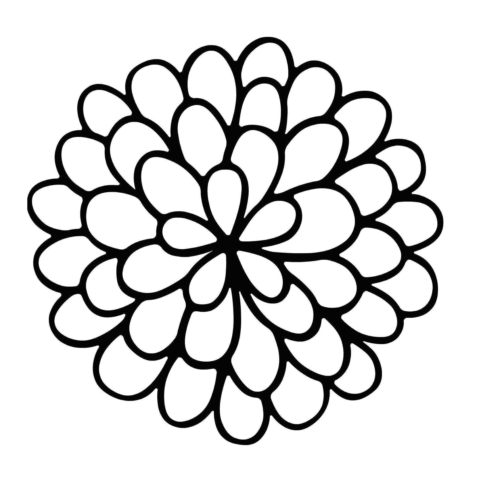 easy contour flower drawing