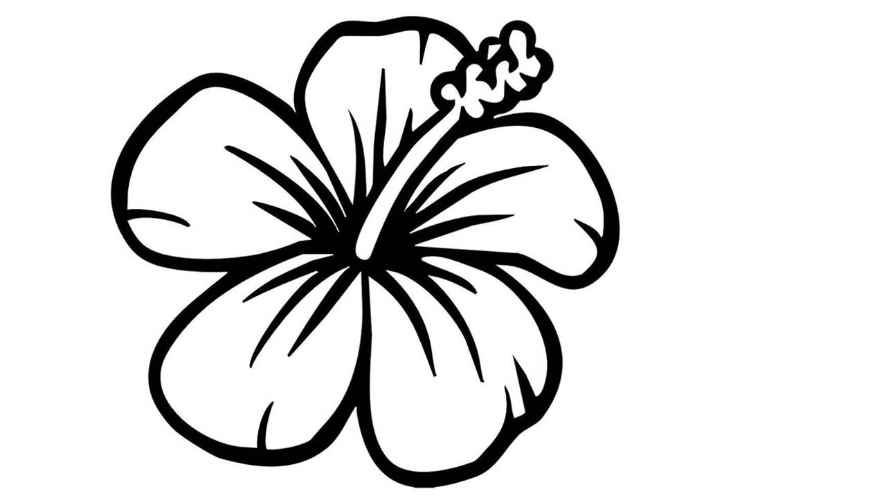 download flower drawing easy