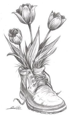 236x383 Flower Sketch - Flowers Pictures Sketch