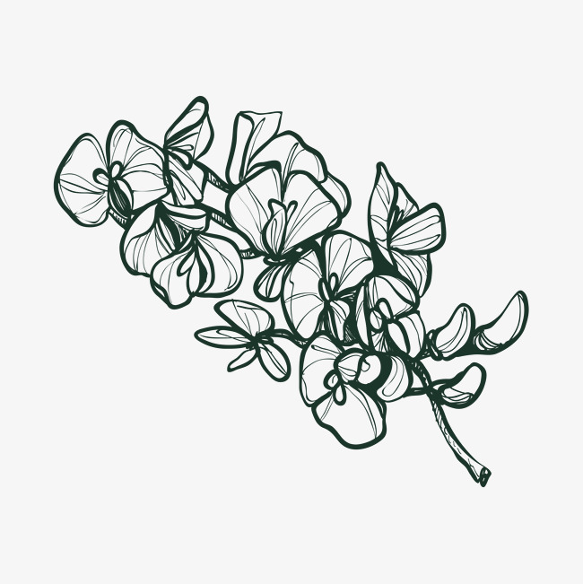 650x651 Flowers Sketch, Sketch Vector, Flowers Sticks, Sketch Png And - Flowers Pictures Sketch