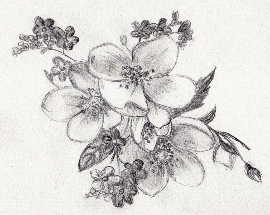 1024x819 Photos Of Flowers Pencil Sketch Flowers Sketches Tumblr Pictures - Flowers Pictures Sketch