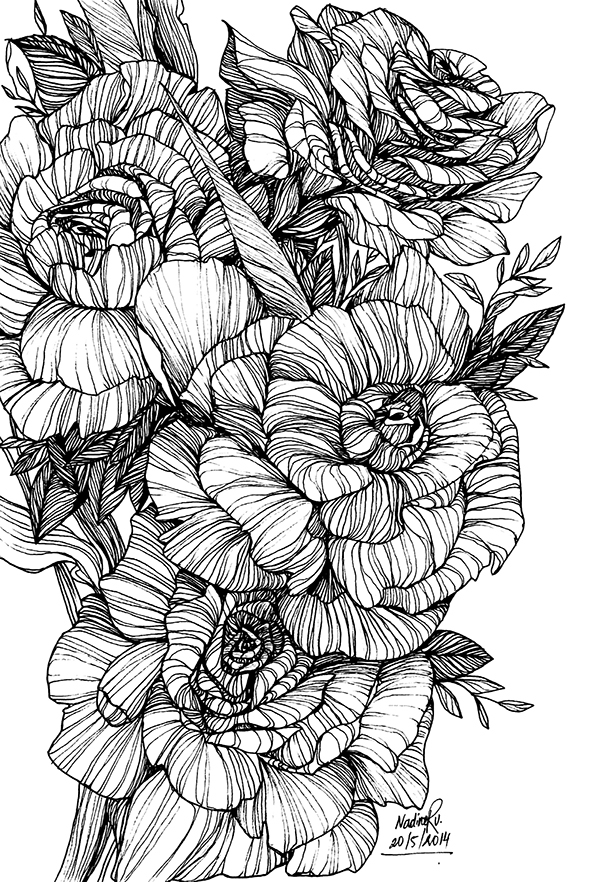 600x882 Sketching Flowers On Behance - Flowers Pictures Sketch