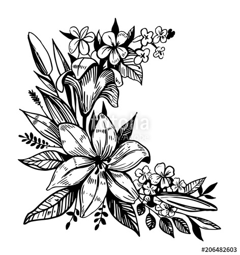 472x500 Flowers Sketch Stock Image And Royalty Free Vector Files On - Flowers Sketch Pictures