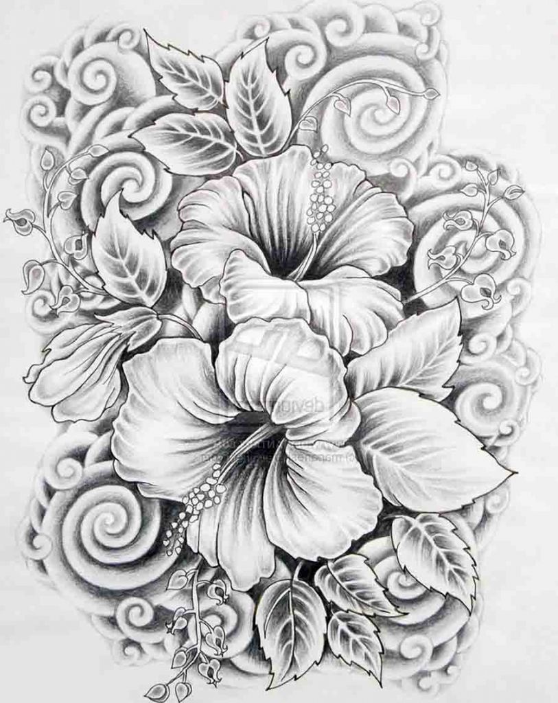 813x1024 Beautiful Flower Sketches In Pencil Beautiful Sketches Of Flowers - Flowers Sketch Pictures