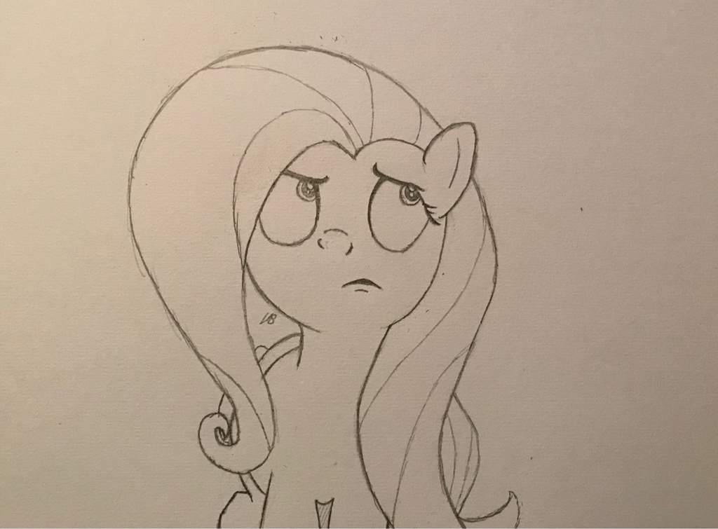 1024x755 Fluttershy Sketch Equestria Amino - Fluttershy Sketch