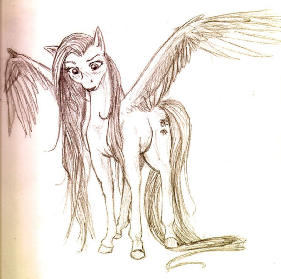 900x893 144186 - Fluttershy Sketch