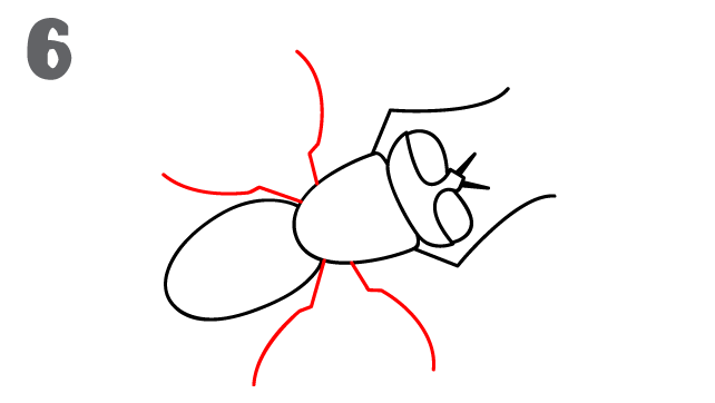 642x362 How To Draw A Fly - Fly Sketch