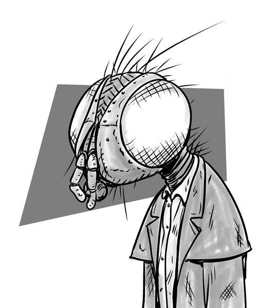 500x600 Sketch A Day Fly, Hare And Polar Bear Mutants Chris Lackey - Fly Sketch