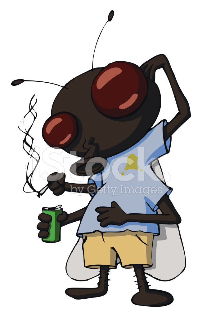 651x1024 Dirty Fly Vector Sketch Stock Vector - Fly Sketch