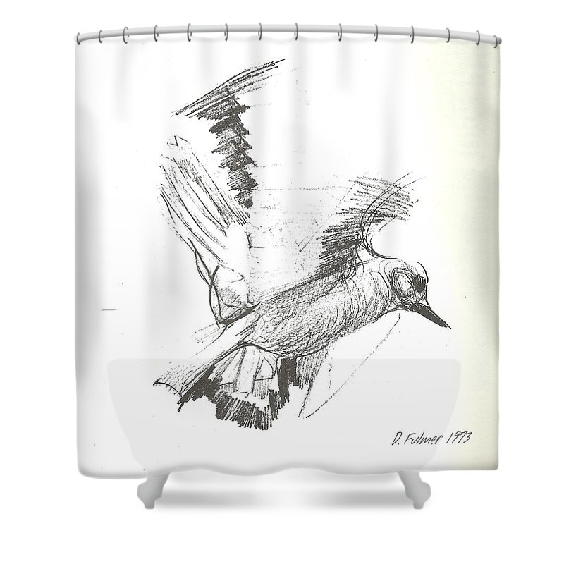 800x800 Flying Bird Sketch Shower Curtain For Sale By Denise Fulmer - Flying Bird Sketch