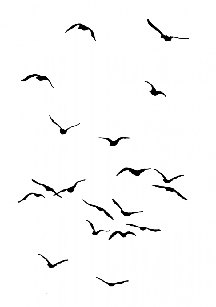 702x1000 Flying Birds Estampados In 2018 Birds, Birds 2 - Flying Bird Sketch