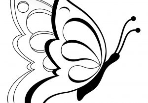 300x210 Easy Pencil Sketches Of Butterflies Rose And Butterfly Pencil - Flying Butterfly Sketch