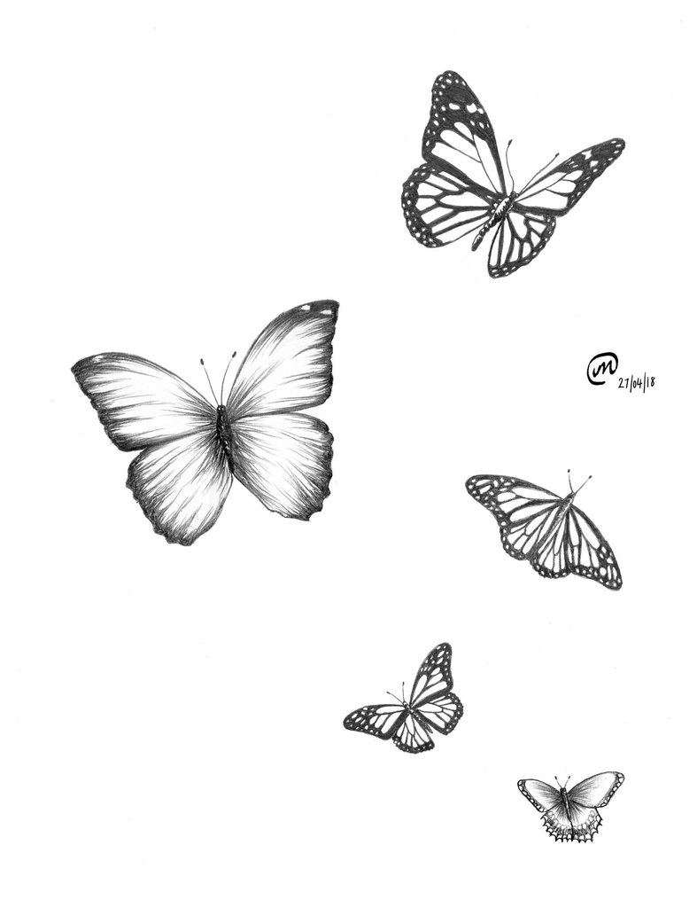 Flying Butterfly Sketch at PaintingValley.com | Explore collection of ...