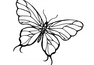 300x210 Simple Butterfly Sketch - Flying Butterfly Sketch