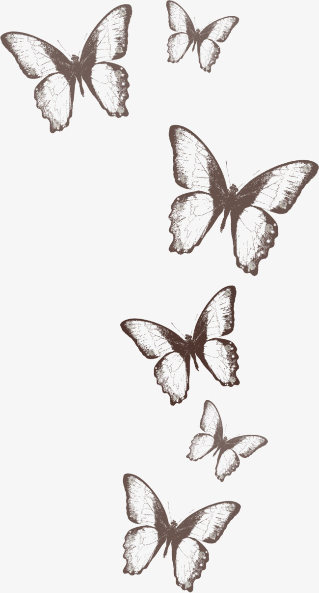 Flying Butterfly Sketch at PaintingValley.com | Explore collection of