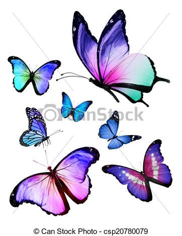 362x470 Flying Butterfly Sketches - Flying Butterfly Sketch