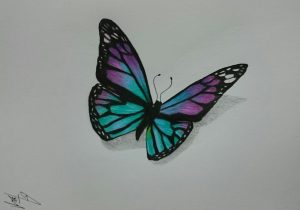 Flying Butterfly Sketch at PaintingValley.com | Explore collection of ...