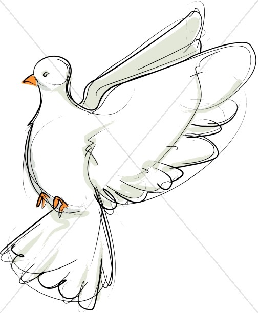 504x612 Flying Dove Sketch Facing Left Dove Clipart - Flying Dove Sketch