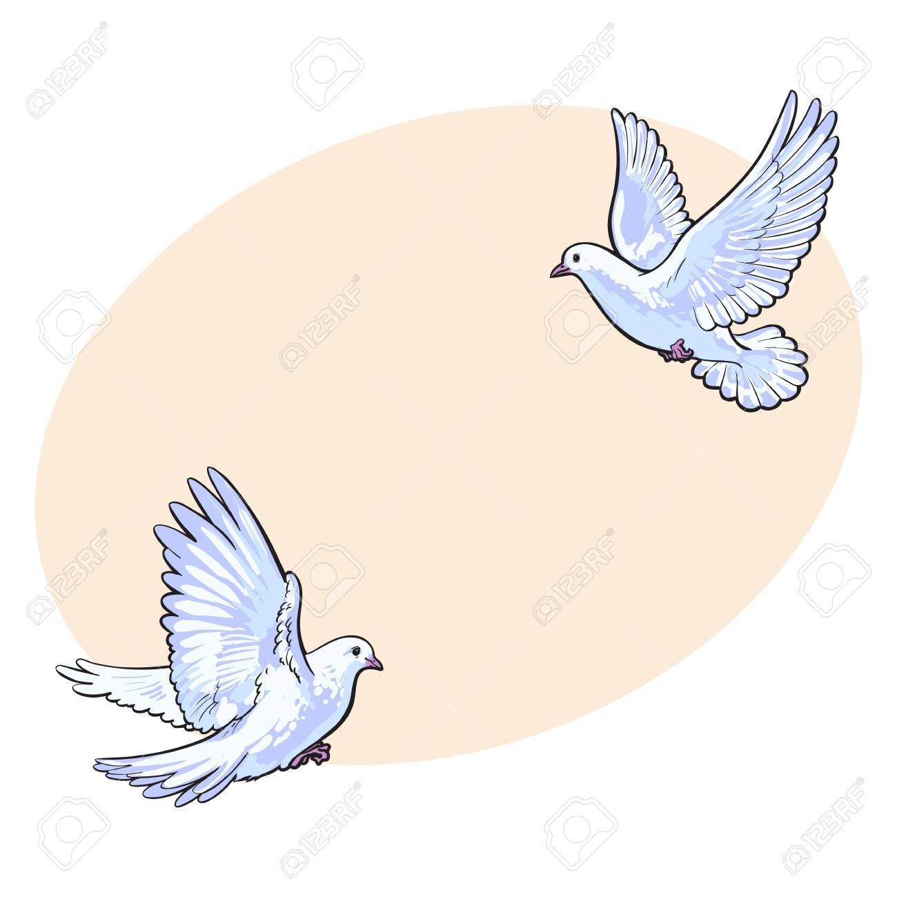 1300x1300 Flying Doves Drawing 25 Realistic Dove Outline 7 - Flying Dove Sketch