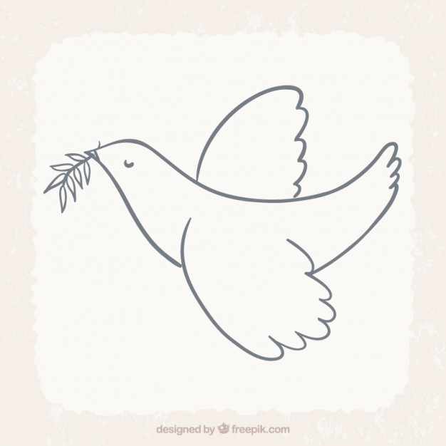 626x626 Peace Dove Flying Sketch Illustration Vector Free Download - Flying Dove Sketch