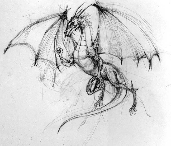 720x615 Drawn Dragon Hand Drawn - Flying Dragon Sketch