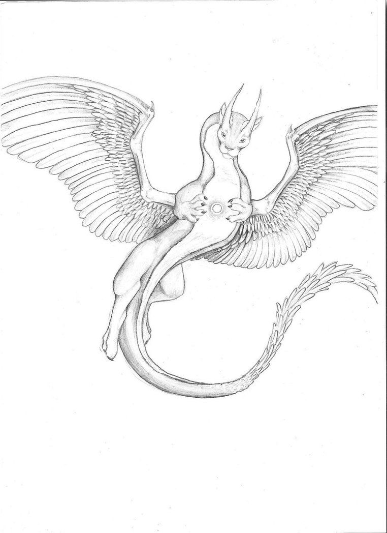 762x1048 Flying Dragon Drawing - Flying Dragon Sketch