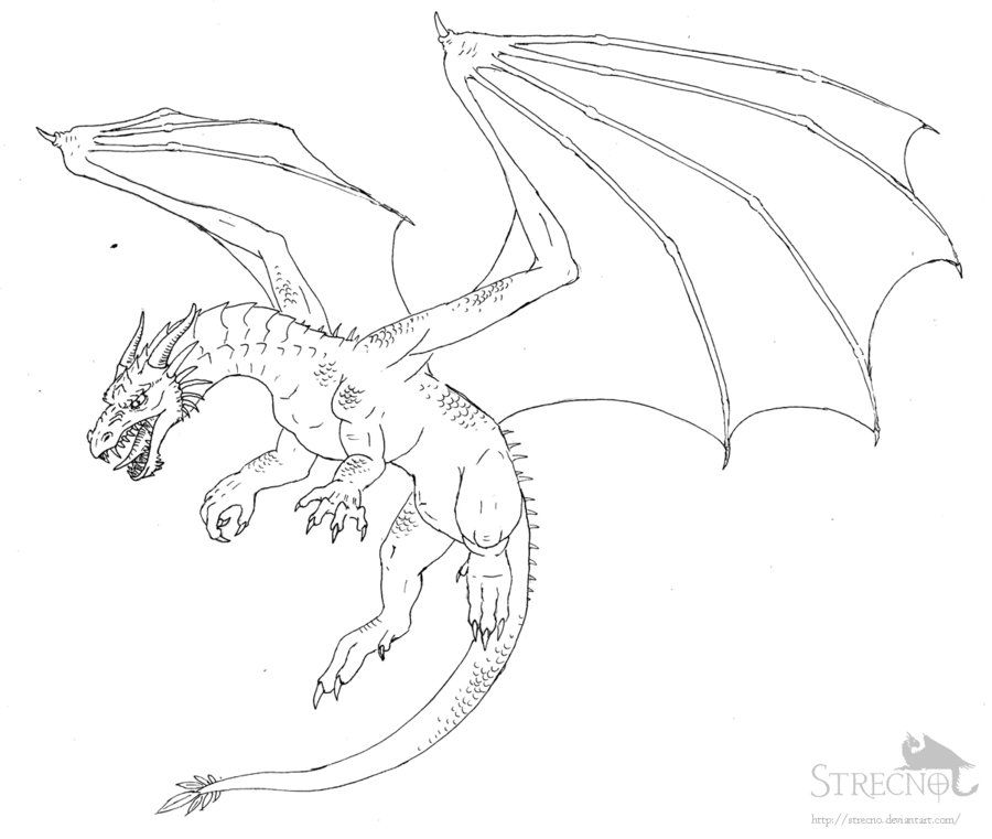 900x761 Flying Dragon Drawing - Flying Dragon Sketch