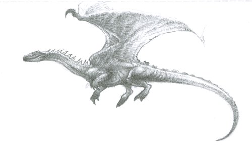 500x304 Flying Dragon Sketch By Warrenjb - Flying Dragon Sketch