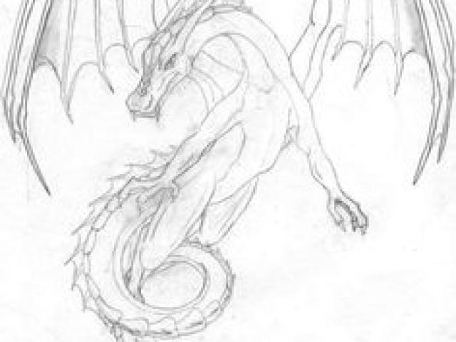 640x480 Drawn Dragon Flying Dragon 13 - Flying Dragon Sketch