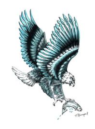 197x267 Etched Glass - Flying Eagle Pencil Sketch