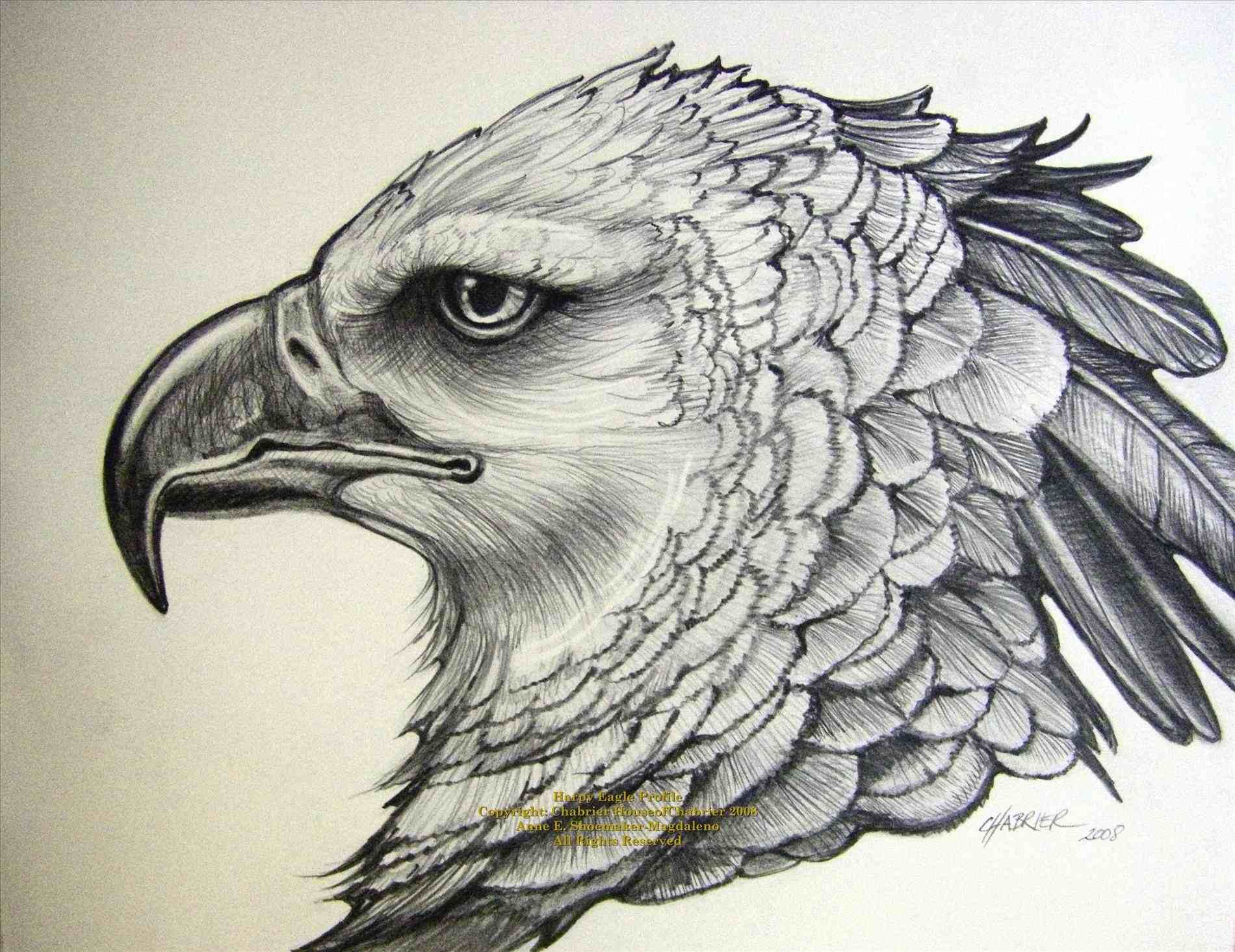 1900x1465 By Highdarktemplar Traditional Art Rhcom Flying Sketch - Flying Eagle Pencil Sketch