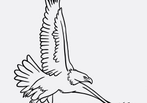 300x210 Drawing Of Eagle Flying Drawings Of Eagles Flying Pencil Drawings - Flying Eagle Pencil Sketch