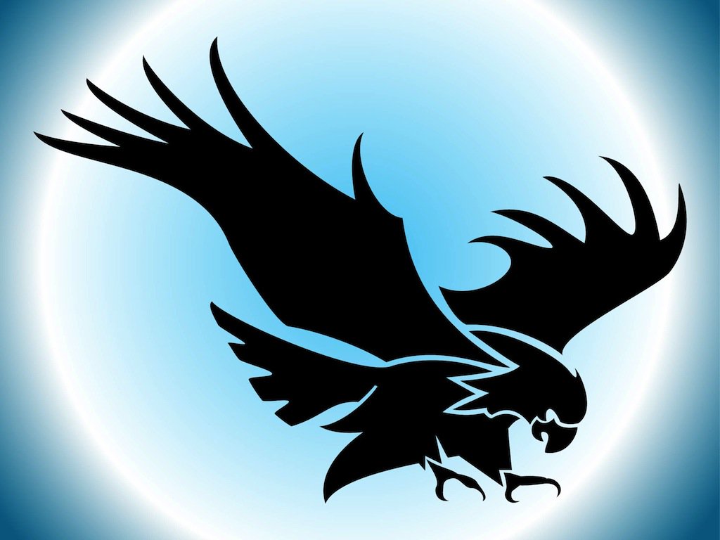1024x768 Flying Eagle Silhouette Vector Art Amp Graphics - Flying Eagle Sketch