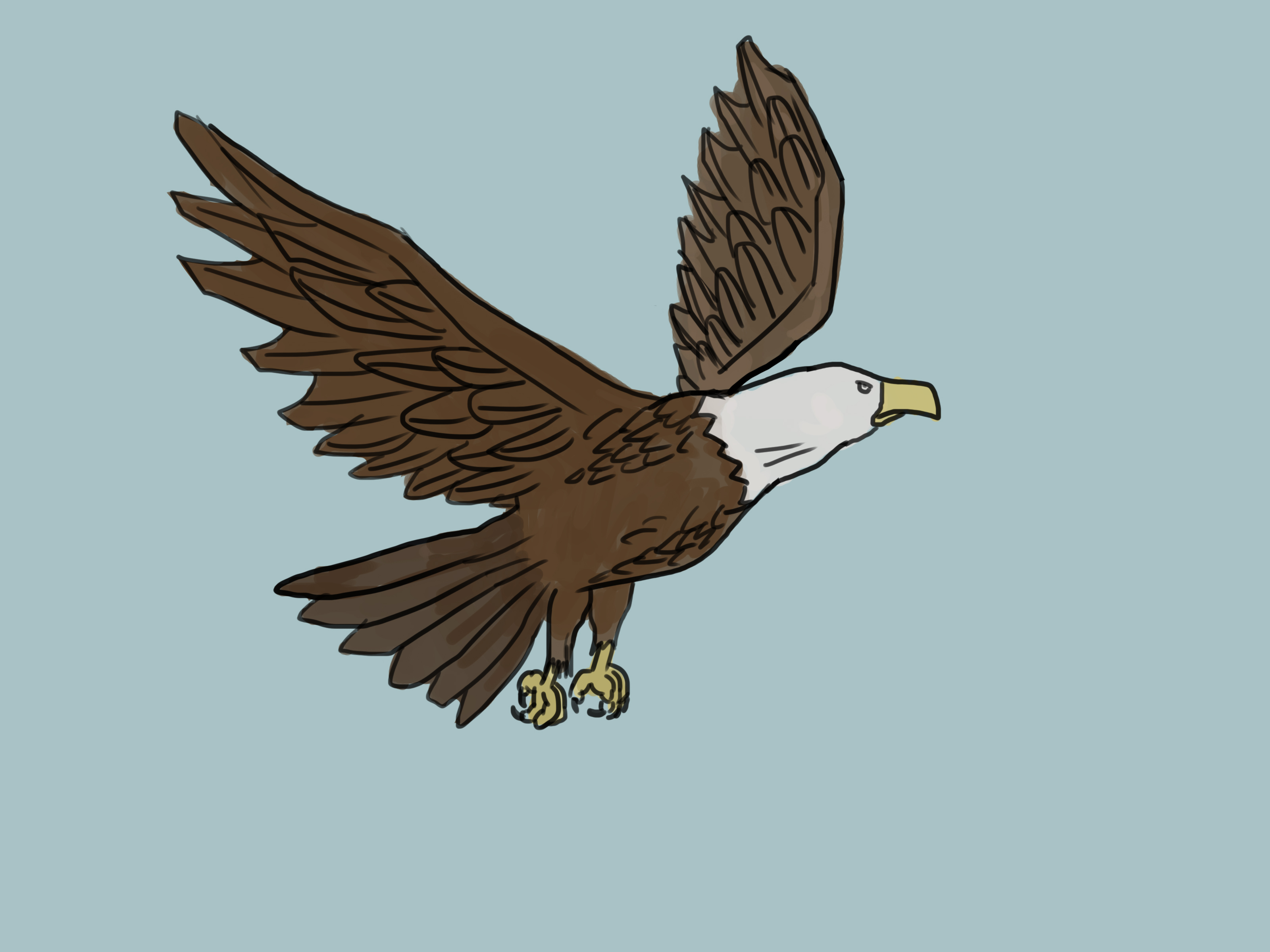 3200x2400 4 Ways To Draw An Eagle - Flying Eagle Sketch