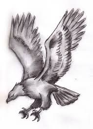 190x265 Image Result For Flying Eagles Sketch Eagles - Flying Eagle Sketch