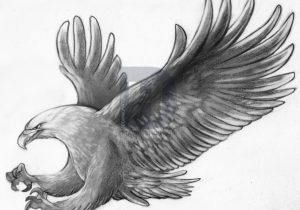 300x210 Pencil Drawings Of Eagles In Flight Flying Eagle Pencil Drawing At - Flying Eagle Sketch